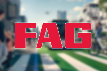 德國FAG軸承